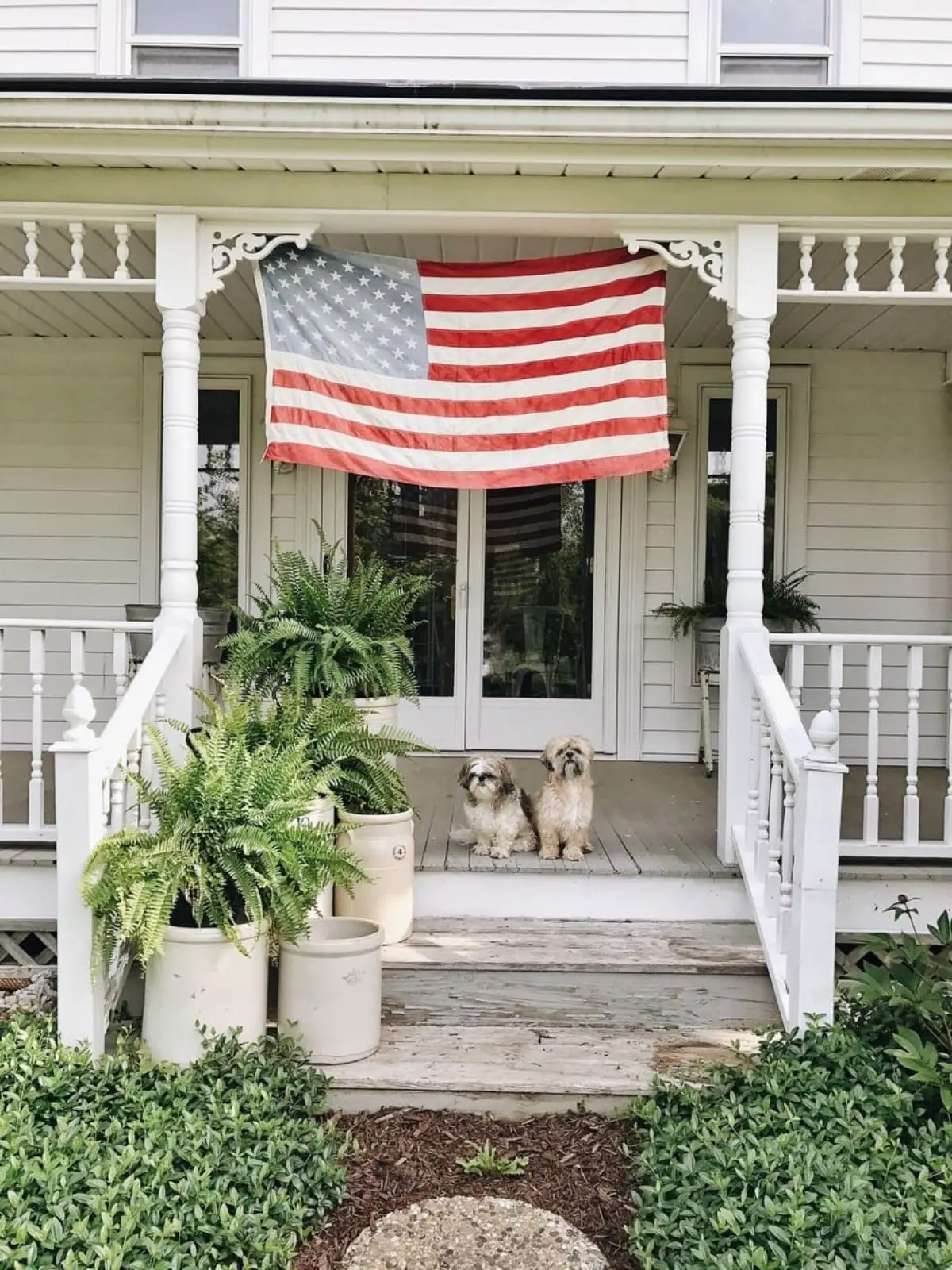 white porch with plants, 2 dogs, and big american flag